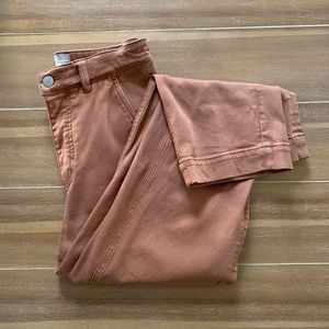 Everlane Straight Leg Crop